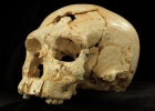 Imagen del cráneo 17 de Atapuerca. Foto. Javier Trueba/Madrid Scientific Films
